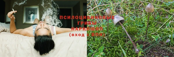 мяу мяу кристалл Белокуриха
