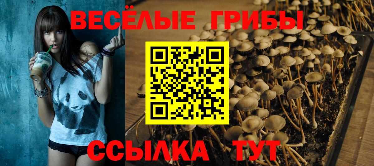 Верхний Уфалей  Галлюциногенные грибы Magic Shrooms  Галлюциногенные грибы ЛСД  купить  цена  Вход с VPN 